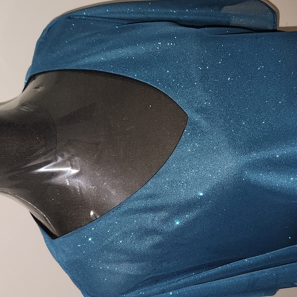 NWT LAURA SZ L TOP - Picture 2 of 6